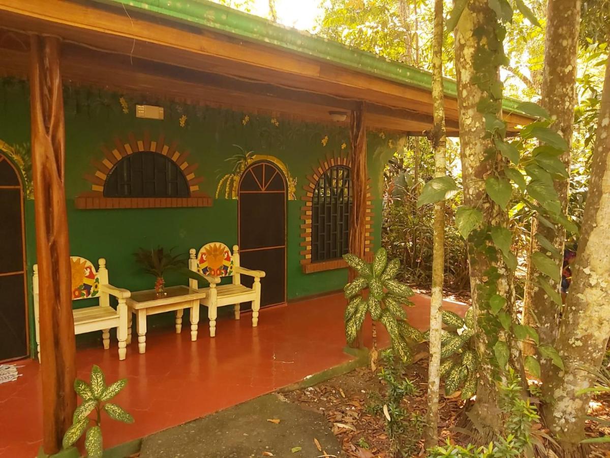 La Palapa Hut Nature Hostel Puerto Jiménez Exteriör bild